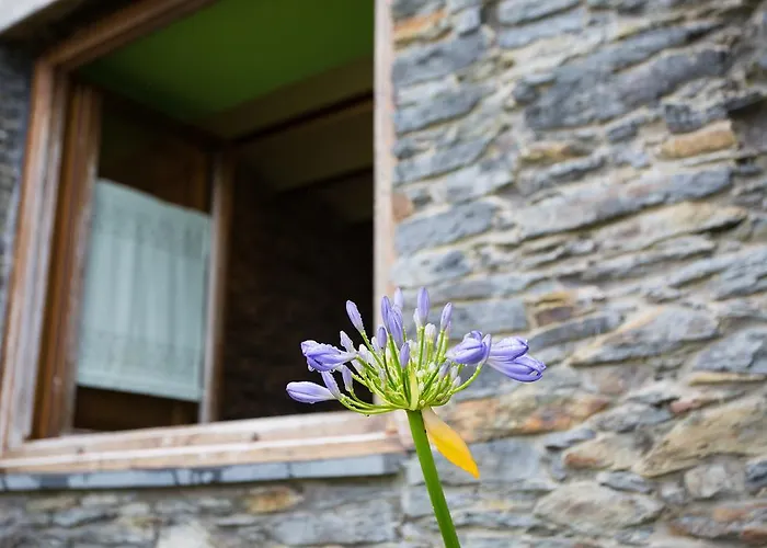 Apartamento El Vallín De Alba *