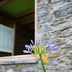 Appartement El Vallin De Alba *