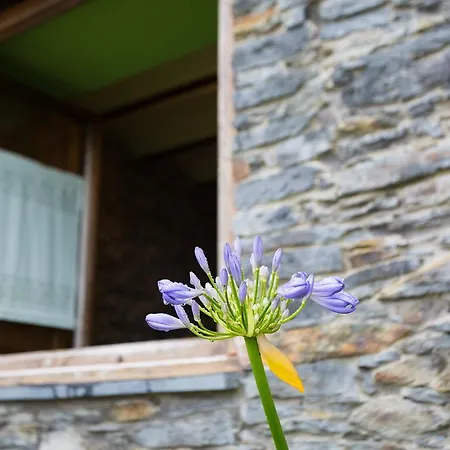 Apartamento El Vallín De Alba *